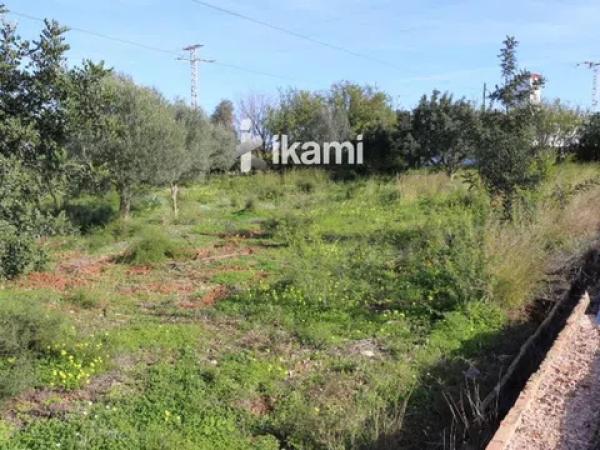 Terreno en Els Poblets