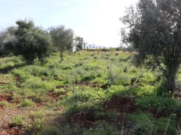 Terreno en Els Poblets