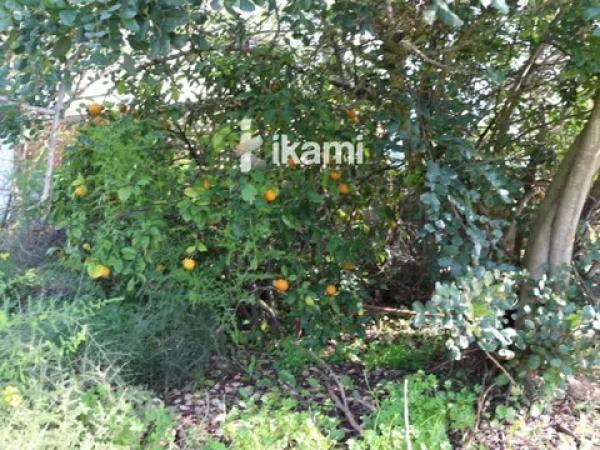 Terreno en Els Poblets