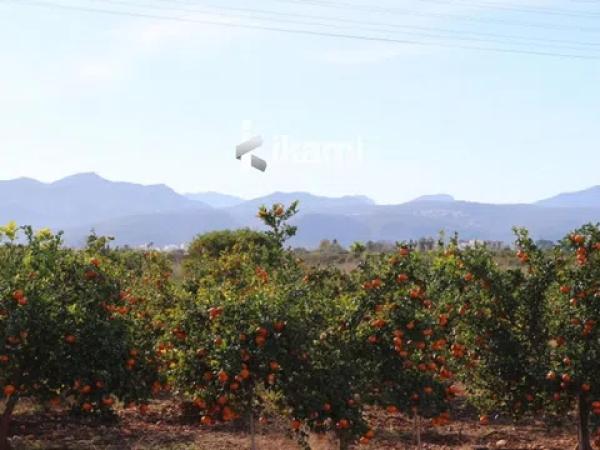 Terreno en Els Poblets