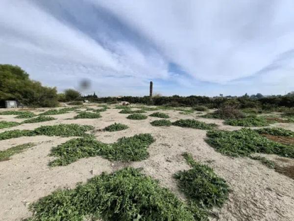 Terreno en Lo Pedreño