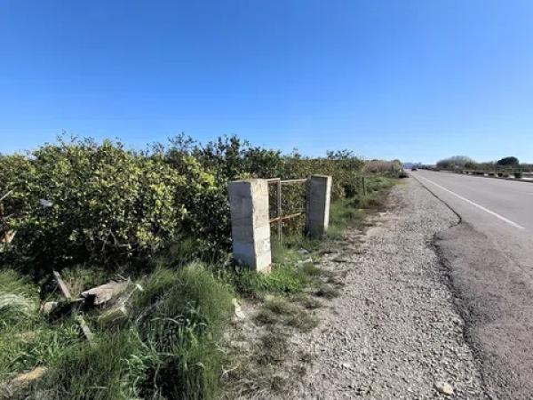 Terreno en Lo Pedreño