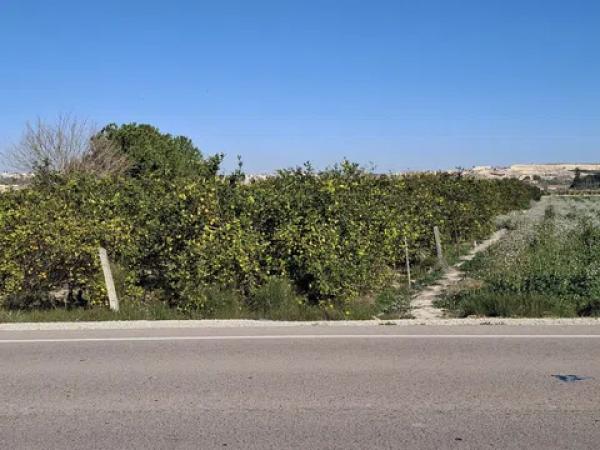 Terreno en Lo Pedreño