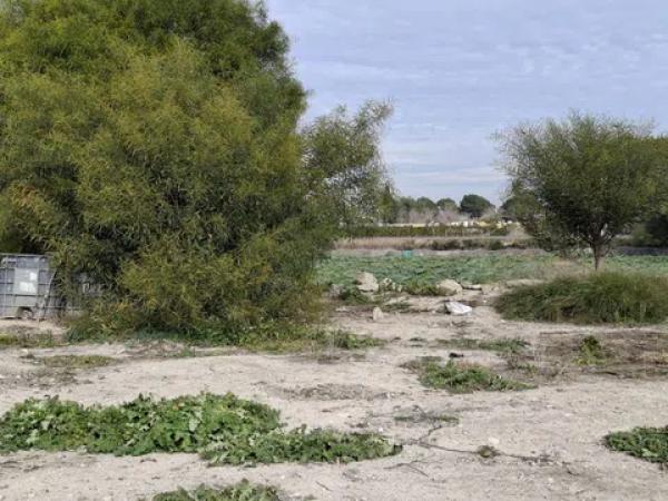 Terreno en Lo Pedreño