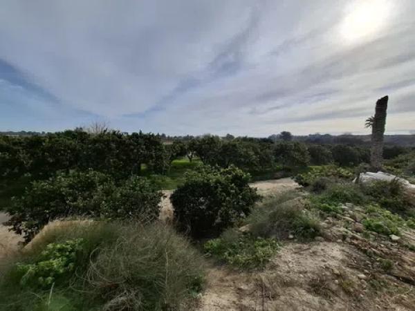 Terreno en Lo Pedreño