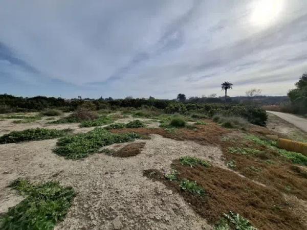 Terreno en Lo Pedreño