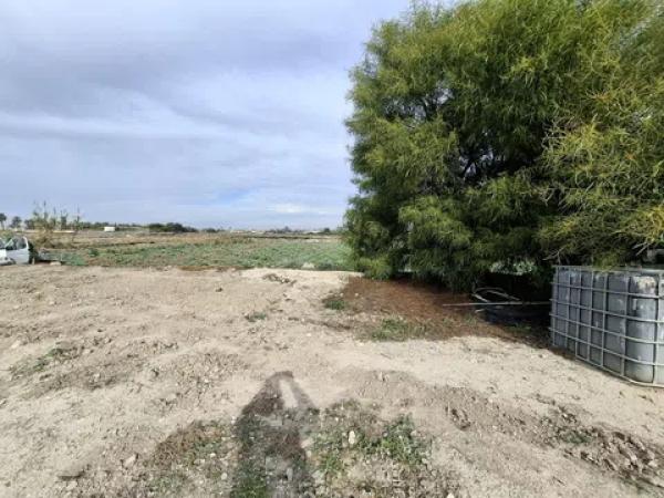 Terreno en Lo Pedreño