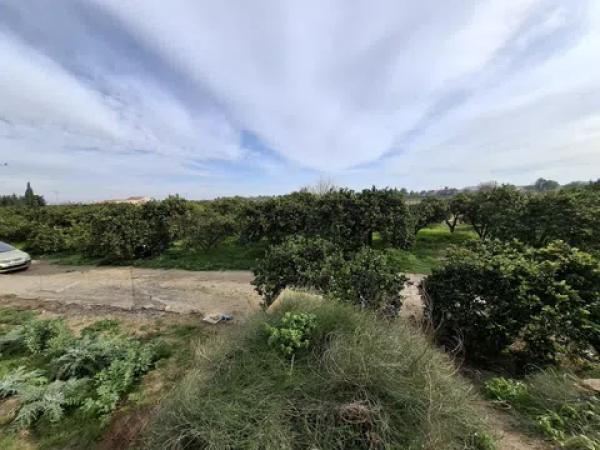 Terreno en Lo Pedreño