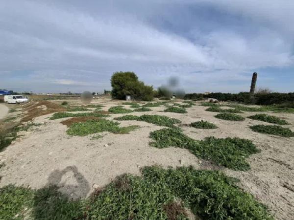 Terreno en Lo Pedreño