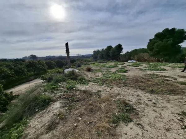 Terreno en Lo Pedreño