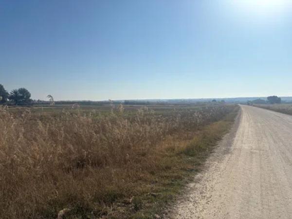 Terreno en La Hoya-Daimes-El Derramador