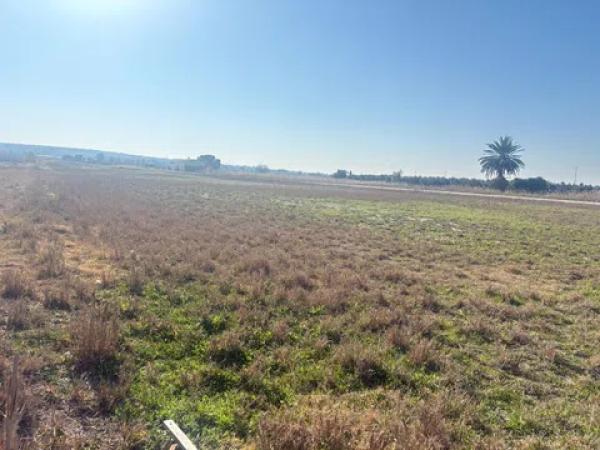 Terreno en La Hoya-Daimes-El Derramador