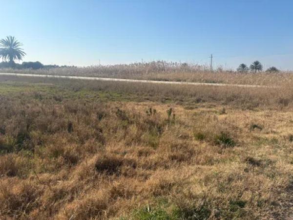 Terreno en La Hoya-Daimes-El Derramador