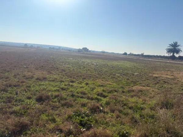 Terreno en La Hoya-Daimes-El Derramador