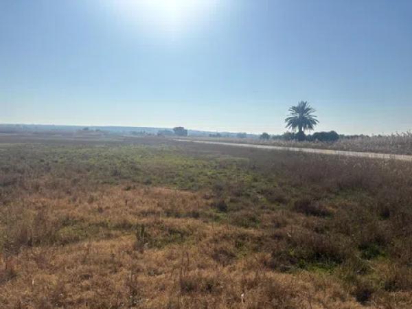 Terreno en La Hoya-Daimes-El Derramador