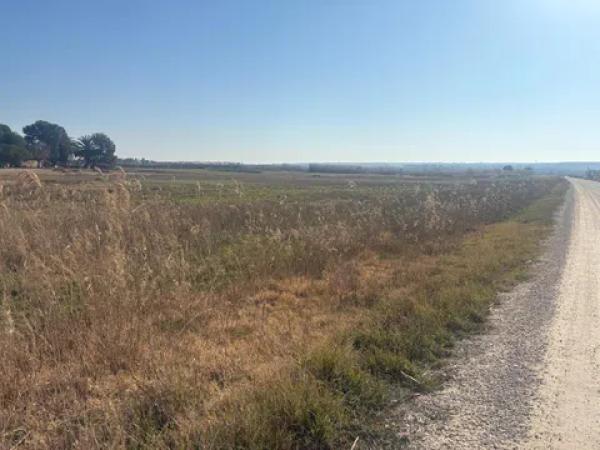 Terreno en La Hoya-Daimes-El Derramador