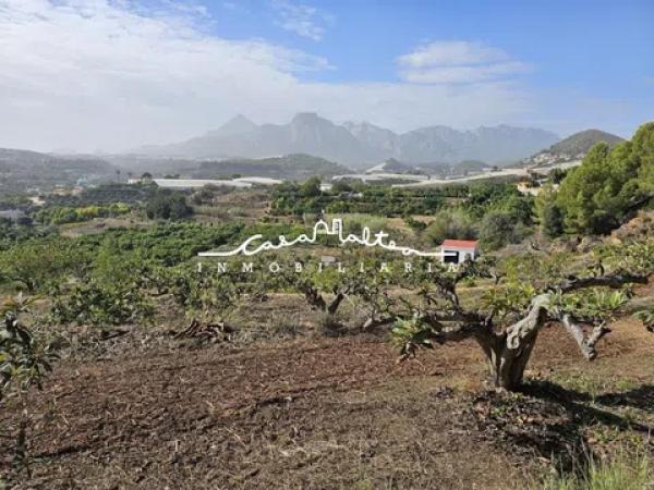 Terreno en Callosa d'En Sarria