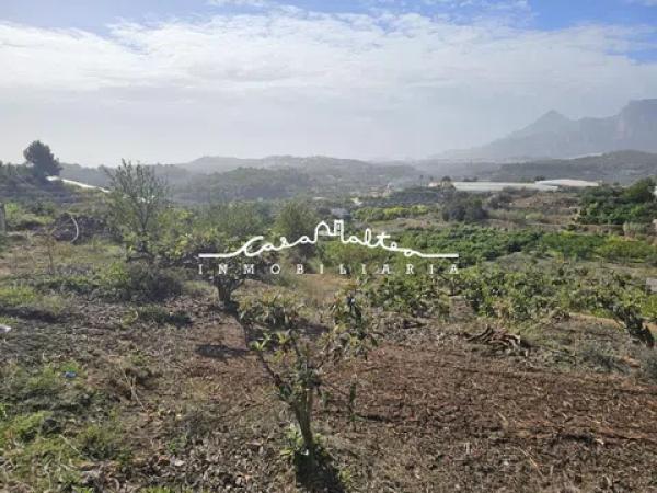 Terreno en Callosa d'En Sarria