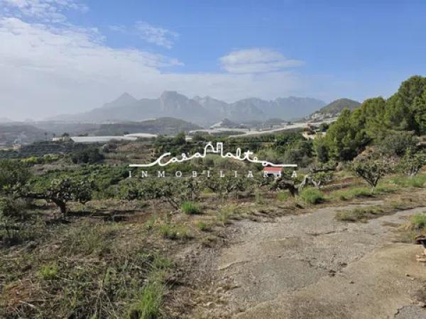 Terreno en Callosa d'En Sarria