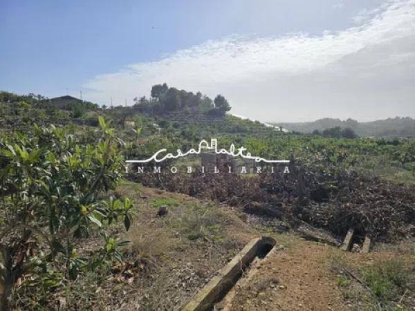 Terreno en Callosa d'En Sarria