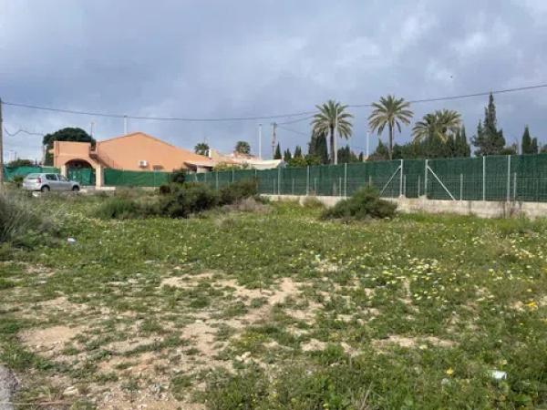 Terreno en camino los Coves, 2