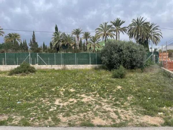 Terreno en camino los Coves, 2