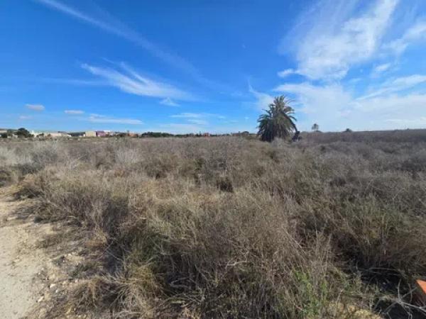 Terreno en El Altet - Balsares