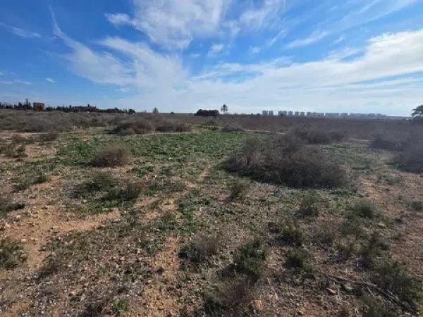 Terreno en El Altet - Balsares