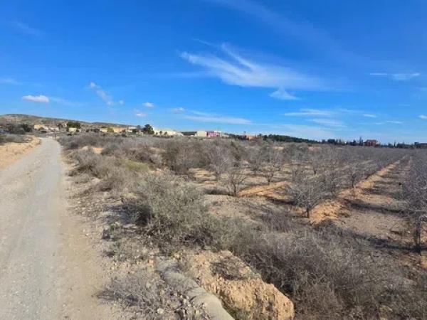 Terreno en El Altet - Balsares