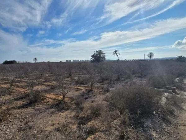 Terreno en El Altet - Balsares