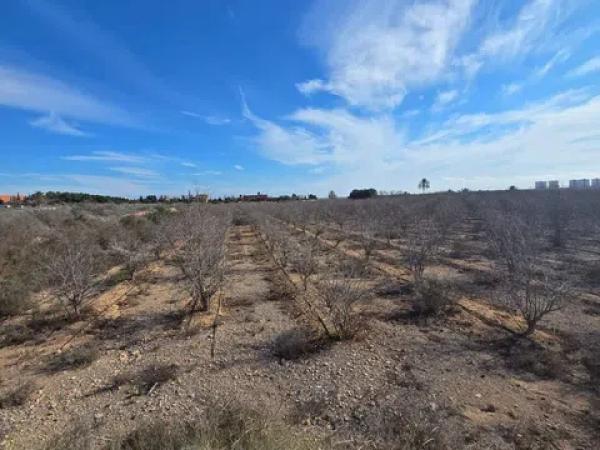 Terreno en El Altet - Balsares