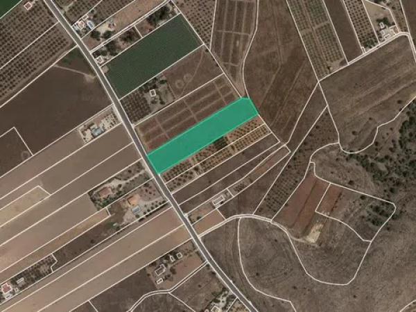 Terreno en Partida Alguasta