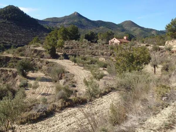 Terreno en Partida Bortolons