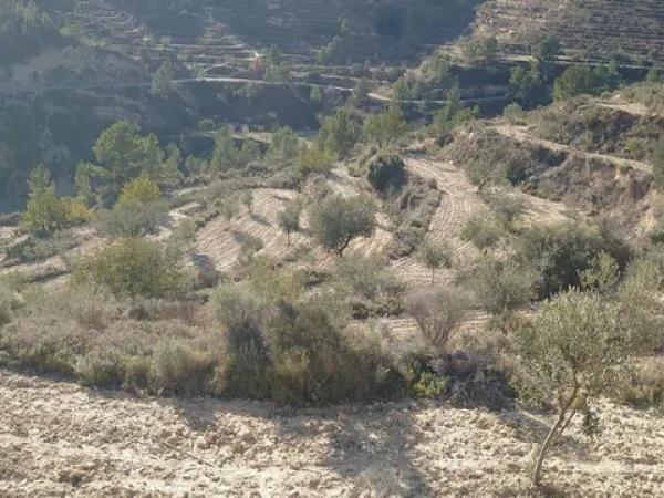 Terreno en Partida Bortolons