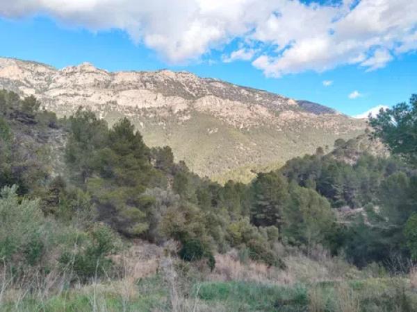 Terreno en el mortet s/n