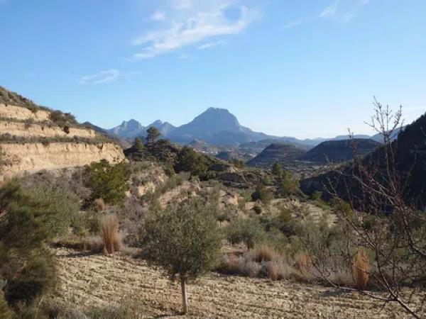 Terreno en Partida Bortolons