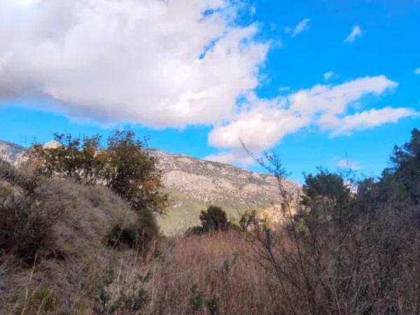 Terreno en el mortet s/n