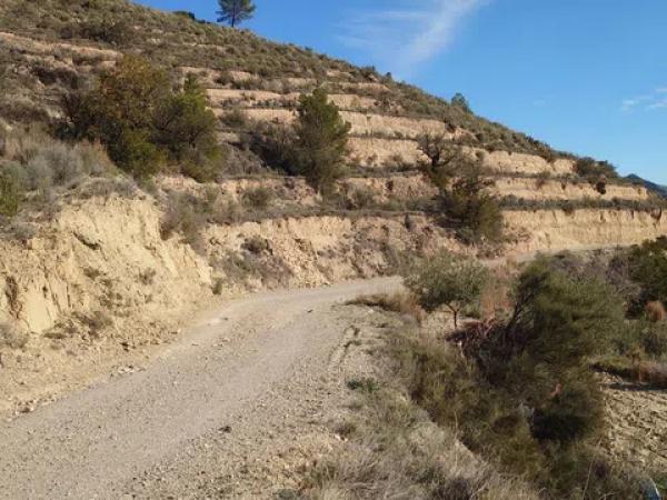 Terreno en Partida Bortolons