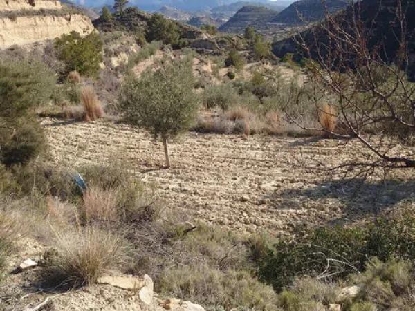Terreno en Partida Bortolons