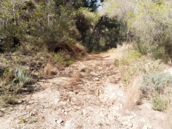 Terreno en el mortet s/n