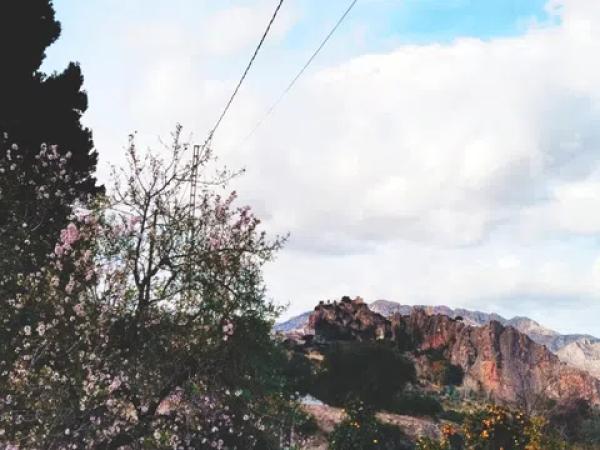 Terreno en el mortet s/n