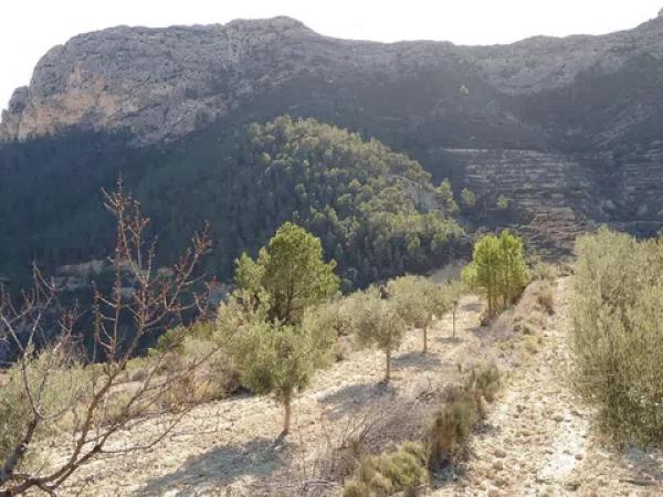 Terreno en Partida Bortolons