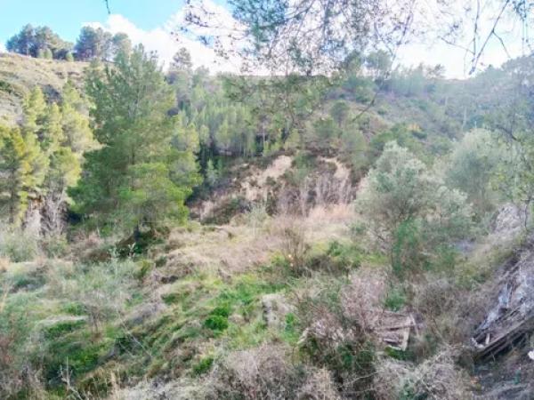 Terreno en el mortet s/n