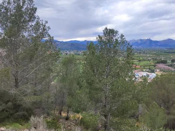 Terreno en calle del Baix Maestrat, 41