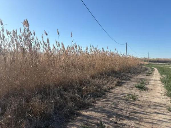 Terreno en La Hoya-Daimes-El Derramador