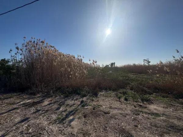 Terreno en La Hoya-Daimes-El Derramador