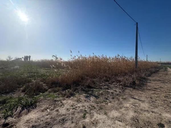 Terreno en La Hoya-Daimes-El Derramador