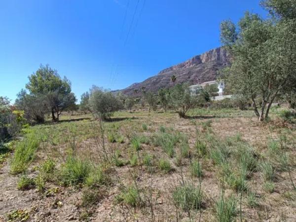 Terreno en Montgó - Ermita