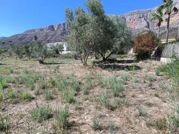 Terreno en Montgó - Ermita