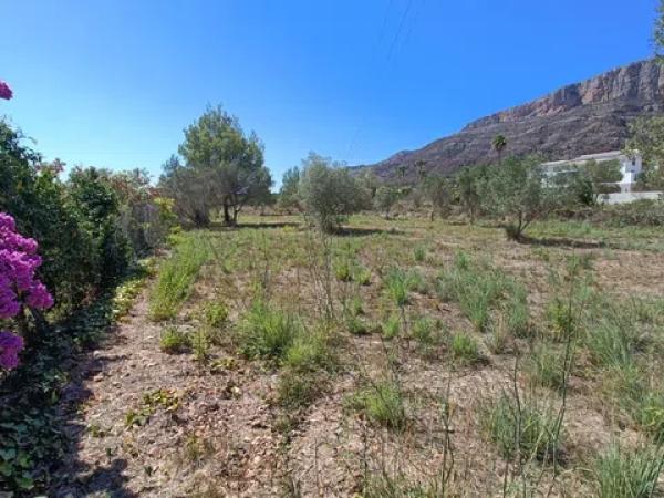 Terreno en Montgó - Ermita